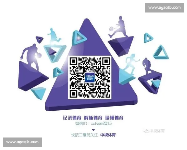 体育赛事与体育项目的概念解析及核心区别研究