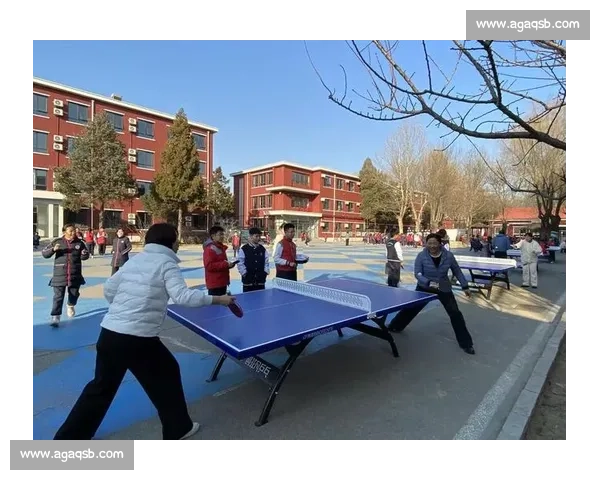 体育赛事观赏是否适合作为日常放松与减压的娱乐方式探讨