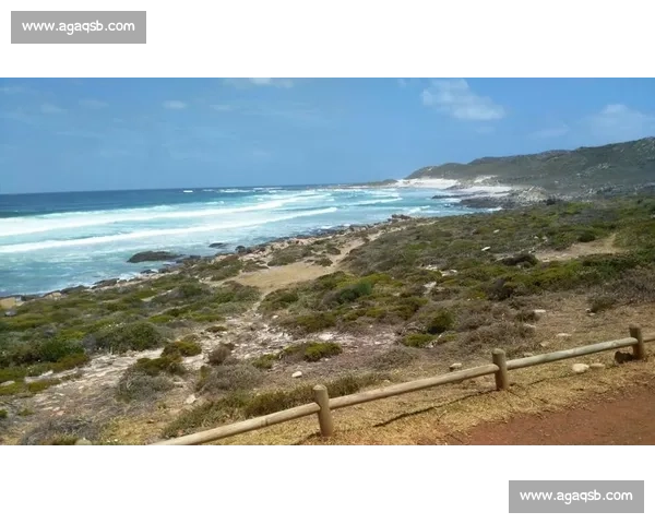 意甲足球联赛战术风格解析:技术与防守的完美平衡 - 副本 - 副本 (2) 意甲足球联赛战术风格解析:技术与防守的完美平衡 - 副本 - 副本 (2)