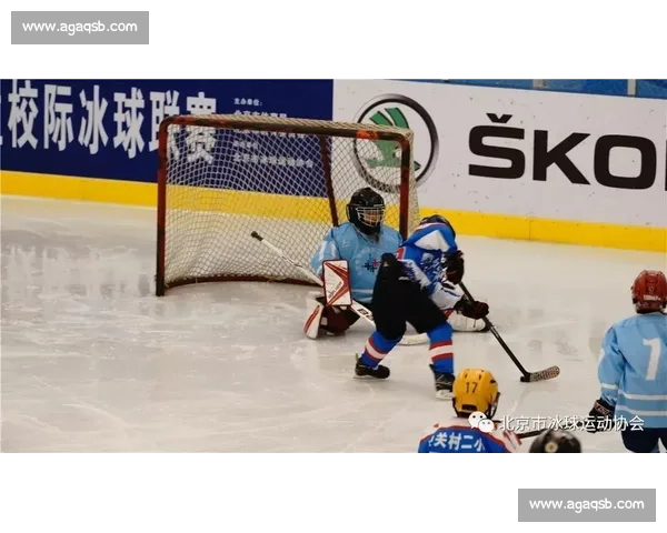 职业冰球赛的激烈对决与运动员背后的故事探索 - 副本 - 副本 - 副本